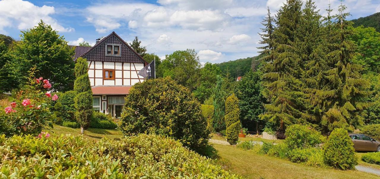 Ferienwohnung Altenbrak Haus Wilde Thale Exteriör bild