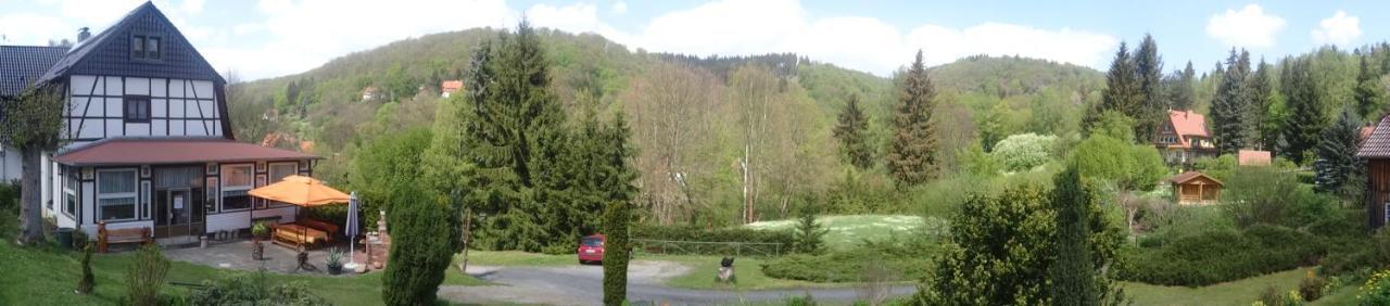 Ferienwohnung Altenbrak Haus Wilde Thale Exteriör bild