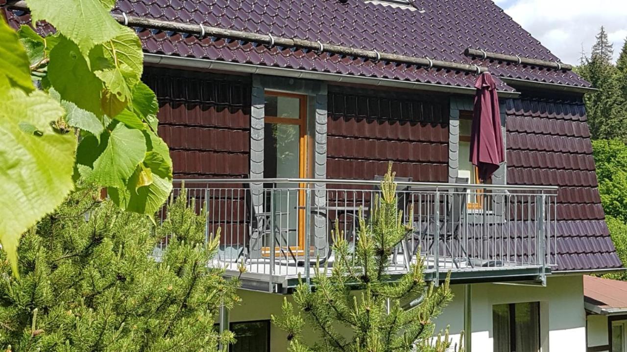 Ferienwohnung Altenbrak Haus Wilde Thale Exteriör bild