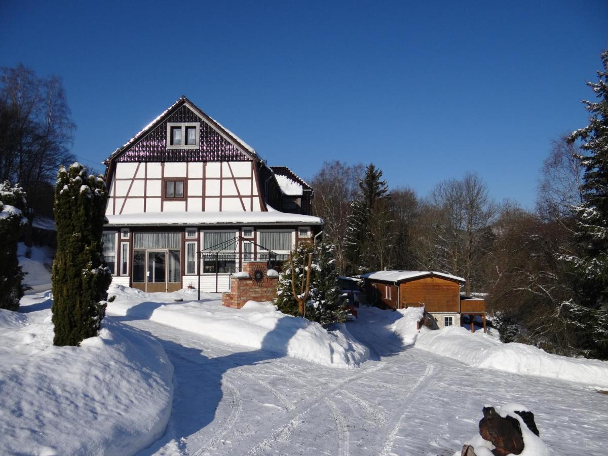 Ferienwohnung Altenbrak Haus Wilde Thale Exteriör bild
