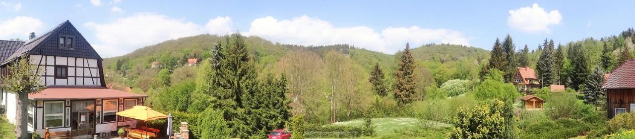 Ferienwohnung Altenbrak Haus Wilde Thale Exteriör bild