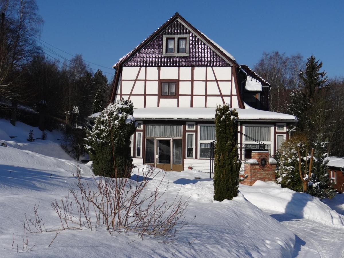 Ferienwohnung Altenbrak Haus Wilde Thale Exteriör bild