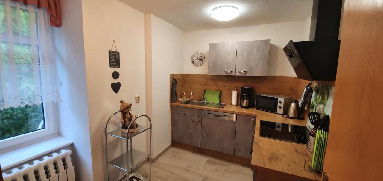 Ferienwohnung Altenbrak Haus Wilde Thale Exteriör bild